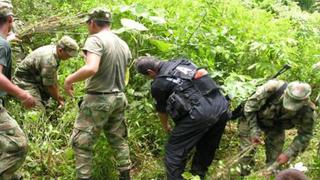 Narcotráfico: Perú erradicó más de 36,000 hectáreas de hoja de coca e incautó 8,316 toneladas de insumos