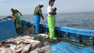 Gremio pesquero a favor de limitar pesca de la pota para su sostenibilidad