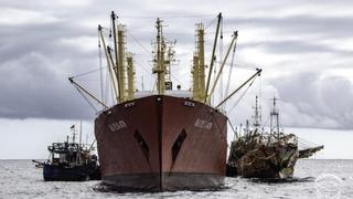 Más de 600 embarcaciones chinas pescarían ilegalmente en Pacífico Sur