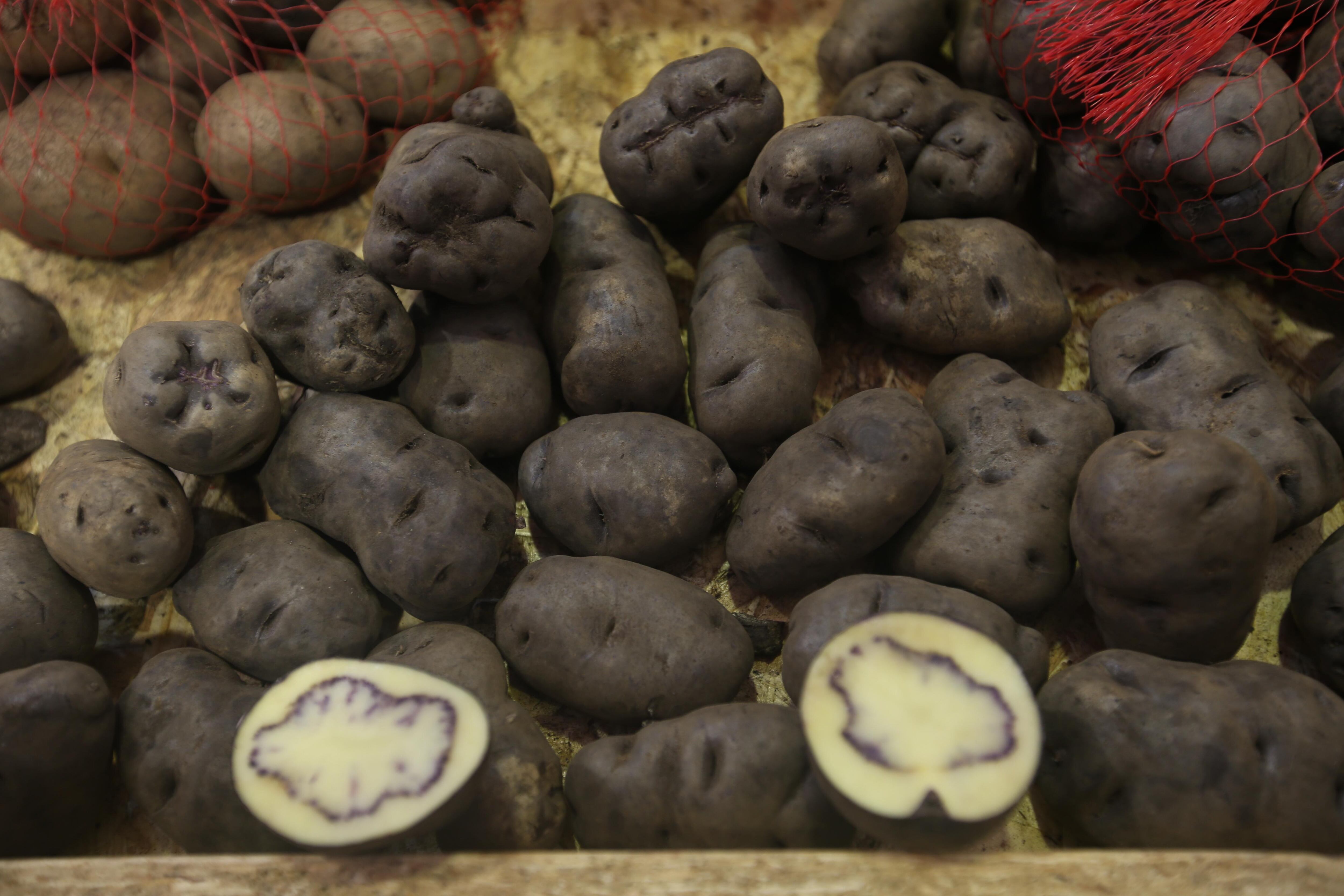 Pérdidas de producción de papa superan el 30%. (Foto: GEC)