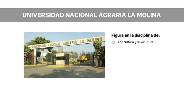 Estas son las mejores universidades