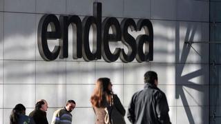 Querella contra gigante energético Endesa en España por cientos de pájaros electrocutados