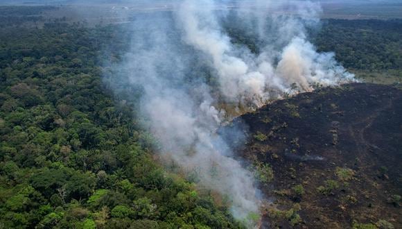 Vista aérea de un área quemada en la selva amazónica, cerca de la Reserva de Extracción Lago do Cunia, en la frontera de los estados de Rondonia y Amazonas, norte de Brasil, el 31 de agosto de 2022. (Foto: DOUGLAS MAGNO / AFP)