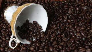 Cultivos de café: 15 mil hectáreas se han sustituido por cítricos, cacao y coca
