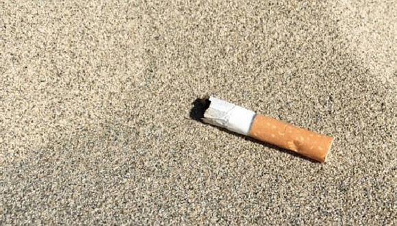 El proyecto para limpiar los filtros de cigarrillo con hongos “de pudrición blanca” lleva siete años de estudio y ya ha conseguido detoxificiar las colillas.
