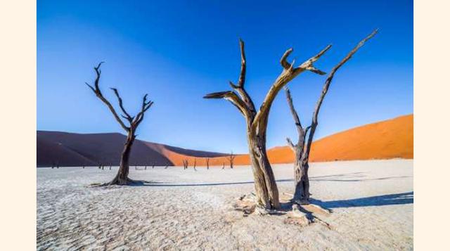 Deadvlei, Namibia. Deadvlei, o el «pantano muerto», es un cementerio de árboles que llevan más de 900 años muertos. Hace casi un siglo el agua estancada permitía que las acacias creciesen, pero ahora el clima de Namibia es demasiado seco, tanto que los ár
