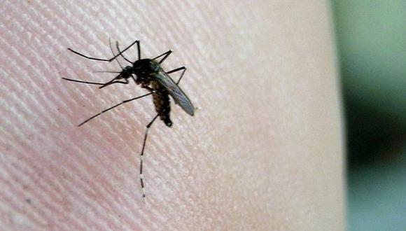 Uno de los métodos para combatir esta enfermedad es eliminar los criaderos de mosquitos transmisores del dengue. (Foto: Andina).