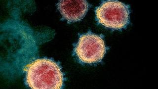 ¿Qué sabe la ciencia del nuevo coronavirus?