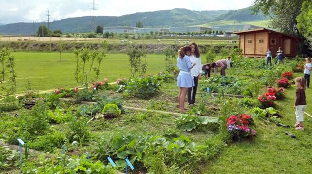Las actividades que realizan normalmente son golf, montar a caballo, tiro, vuelo e incluso cuidar un invernadero. (Foto: Le Rosey)