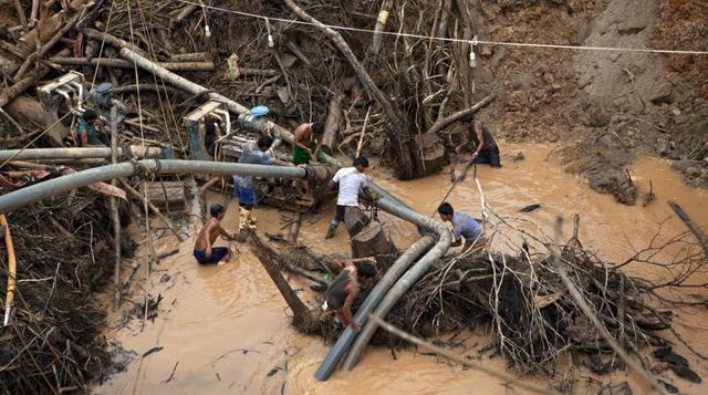 En 50,000 hectáreas de la selva de Madre de Dios, los mineros ilegales trabajan turnos de hasta 28 horas. (AP)