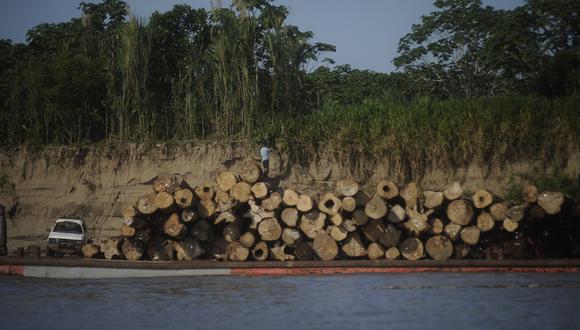 La deforestación en Ucayali entre enero y agosto de 2021 superó en más de 3000 hectáreas lo registrado en el mismo periodo del 2020. Foto: Hugo Alejos.