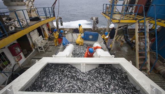 Las mayores oportunidades de descaarbonización se encontraron en el sector pesca.