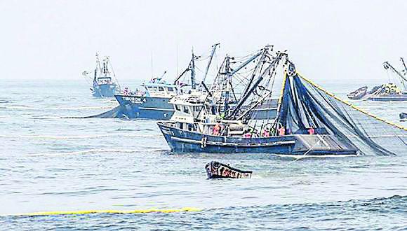 Expertos temen que se pueda afectar la primera temporada de pesca industrial de anchoveta del 2023