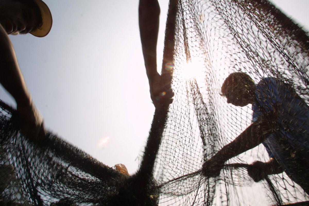 Pesca artesanal (Foto: USI)