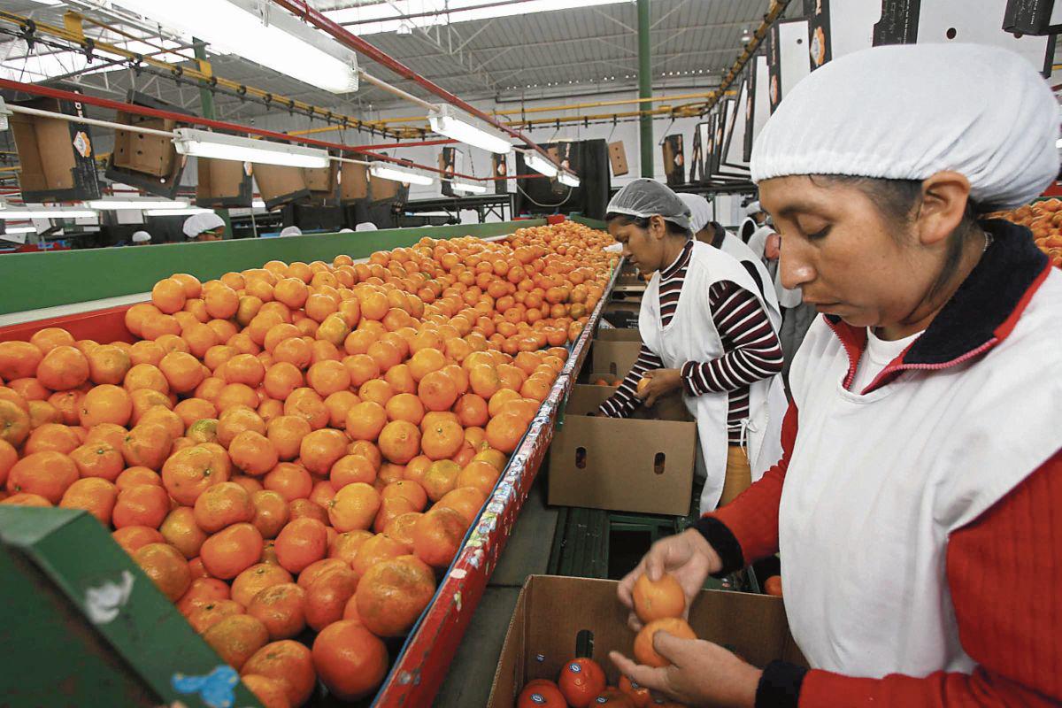 Mantener fluyendo el financiamiento crediticio al sector privado beneficiaría a 350,000 empresas que pueden ver su capacidad de pago temporalmente afectada. (Foto: GEC)