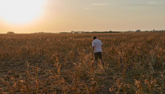 Una persona camina por un campo afectado por la sequía en San José de la Esquina, Argentina, el 16 de enero.