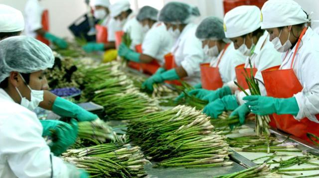 La exportación de Espárragos Frescos en el primer semestre del 2015 alcanza los U$ 136 millones a un precio promedio en alza de U$ 3.12 kilo.A USA se exporta U$ 81 millones (59% del total), le sigue Holanda con U$ 18.5 millones (14%) e Inglaterra U$ 15.3 