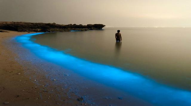 Bioluminous Larak, Irán – Fotografía de Pooyan Shadpoor.