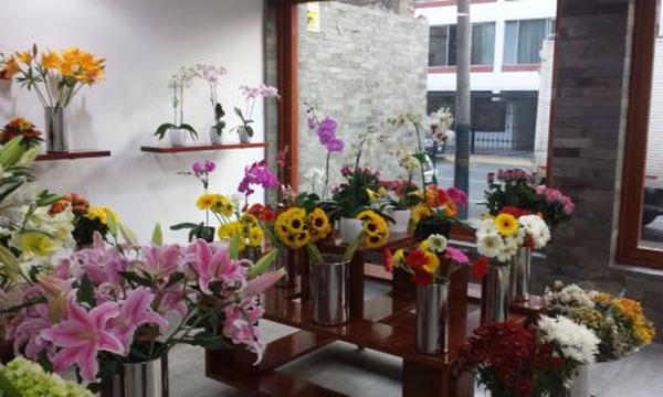 Las Rosas Son Las Flores Preferidas Para Regalar De Los Peruanos Tendencias Gestion Avisos de bienes raíces, construcción, oportunidades, servicios, empleos, autos y. las rosas son las flores preferidas