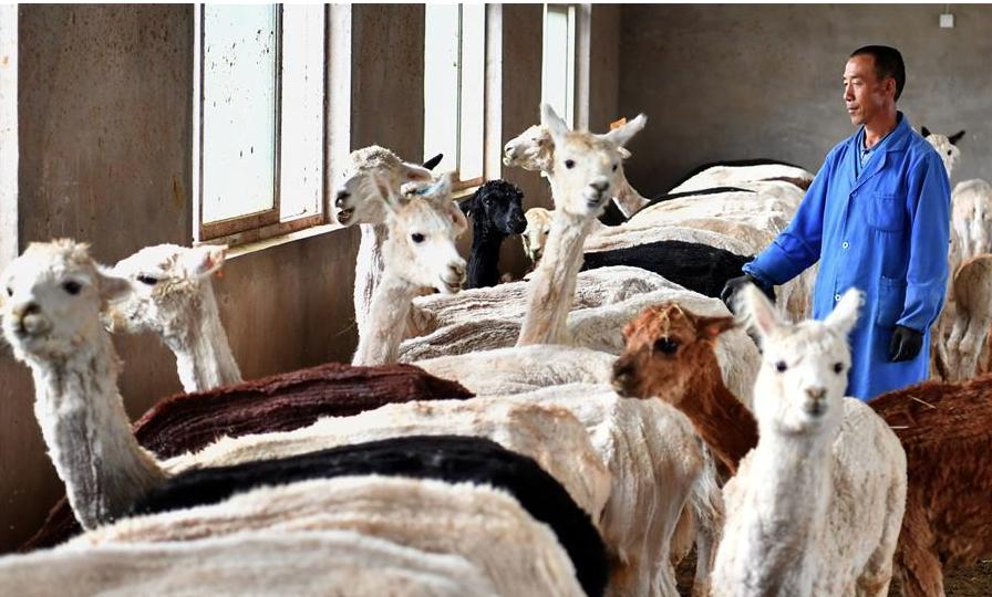 Fuente: Agencia Xinhua