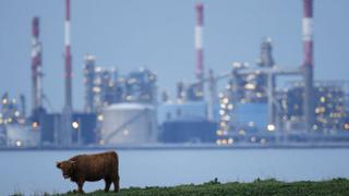 Refinerías deben mantener rumbo respecto a reducción de capacidad, afirma CEO de Total