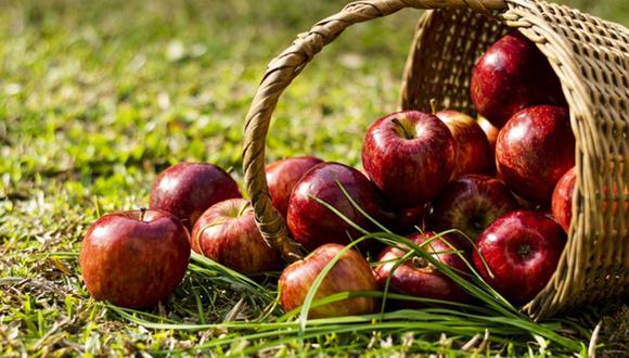 Se estima que existen entre 5.000 y 20.000 variedades/cultivares de manzanas. (Foto:Freepik)