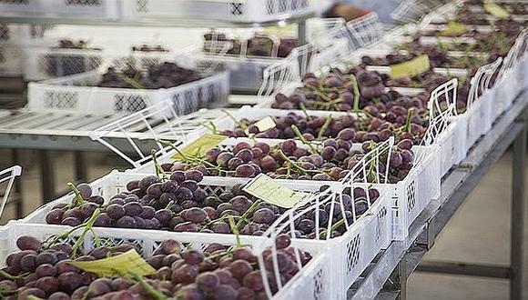 Minagri: Agroexportaciones crecieron 20% en enero