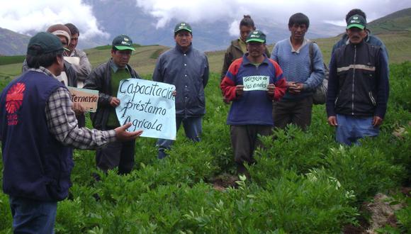 Los préstamos concedidos a las empresas sumaron S/ 159,035 millones a ese mes, por lo que los créditos destinados al sector agropecuario representaron el 4.25% (Foto: Andina).