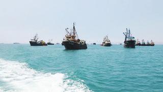 Pesca de anchoveta: Imarpe inició crucero para evaluar cuota de la segunda temporada