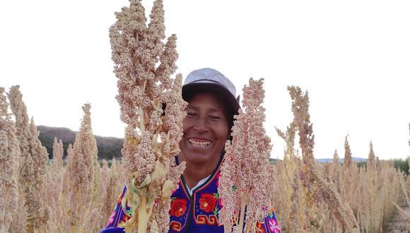 Yolanda Catacora, la primera productora de la Asociación Ácora en Puno, en descargar el aplicativo para subir las fotos de los diferentes productos orgánicos y milenarios que comenzará a ofertar. Foto: Profonanpe.