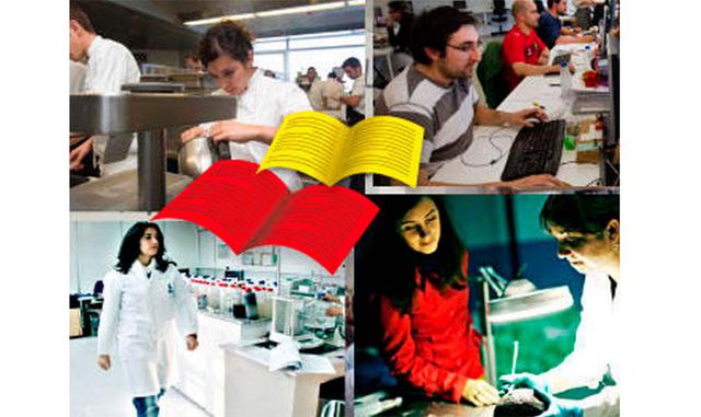 Desaprovechamiento del talento humano. Se refiere a aprovechar las fortalezas de cada empleado a beneficio de la empresa invitándoles a hacer uso de su creatividad e inteligencia. Algo que parece tan obvio, no ha sido la práctica habitual hasta hace poco,