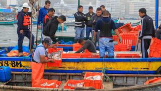 Produce destina S/ 2.8 millones en estación para combatir la pesca ilegal en Tumbes