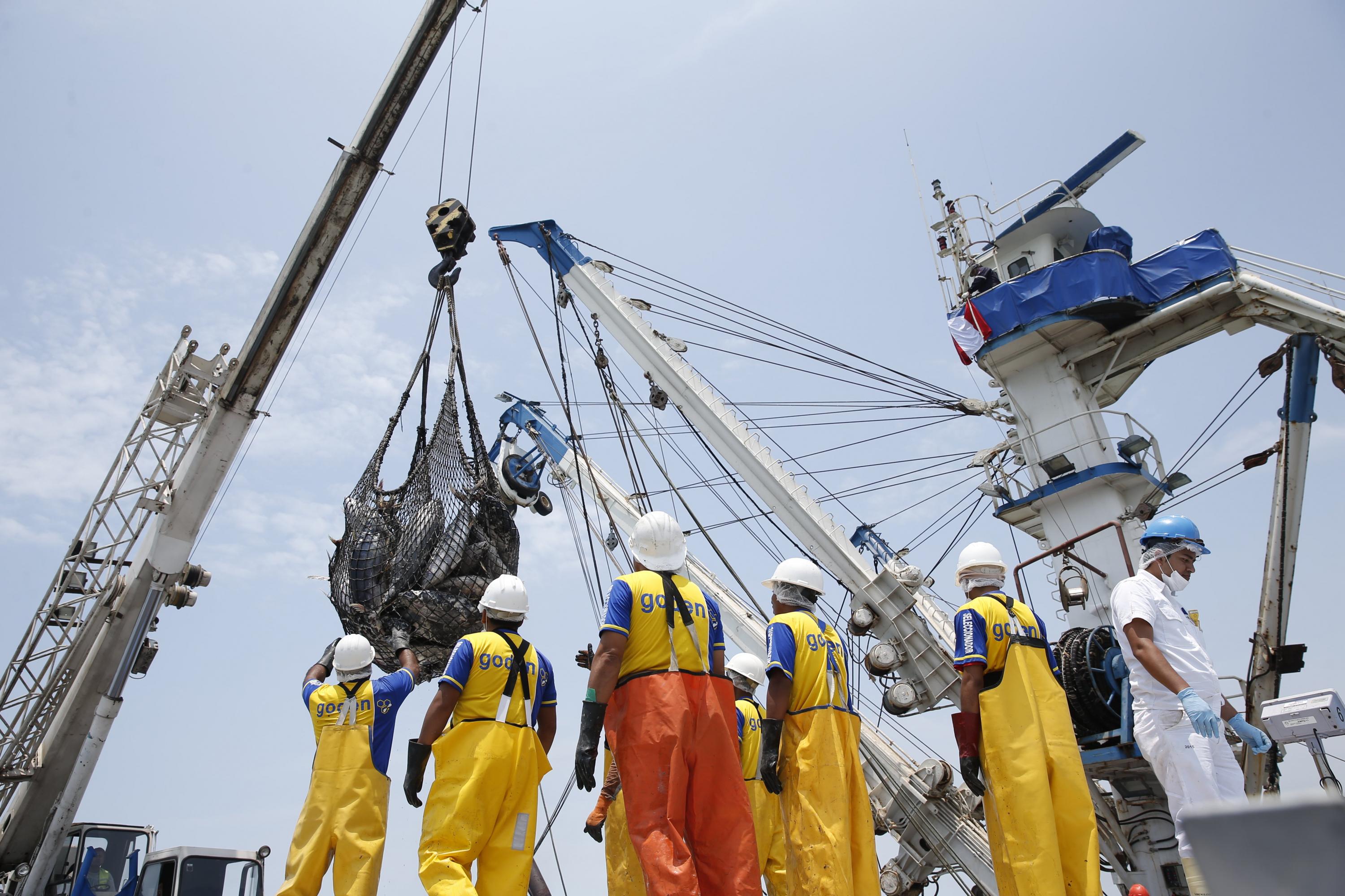 El sector pesquero registra un crecimiento de 7.2% entre enero y octubre. (Foto: GEC)