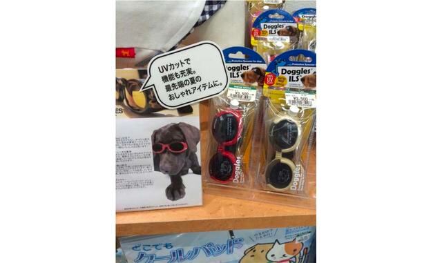 Lentes oscuros para los perros. El invento que a primera vista parece extraño. ¿Pero alguna vez se te habrá ocurrido que a los perros, al igual que a nosotros, les puede molestar la luz del sol brillante? A los japoneses sí se les ocurrió.