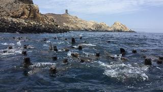 Semana Santa: las cinco áreas naturales protegidas que puedes visitar en feriado