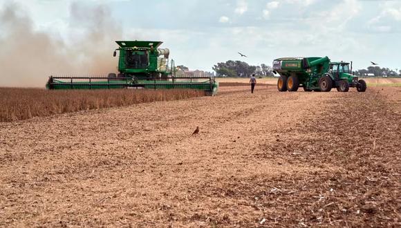 Según la Bolsa de Cereales de Buenos Aires, la cosecha de soja de este año, de 25 millones de toneladas métricas, será la peor de la historia. (Foto: Bloomberg)