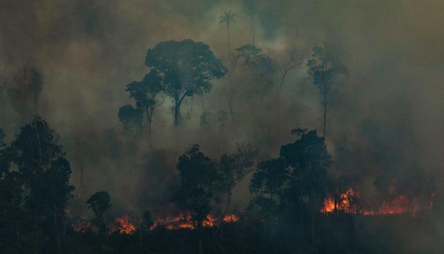 La Amazonía bajo presión de sequías, especulación y políticas públicas. (Foto: AFP)