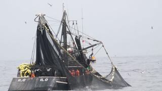 Produce: Segunda temporada de pesca de la anchoveta iniciará el 23 de noviembre