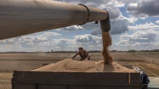 Tres puertos del Mar Negro inician operativos para exportar cereales