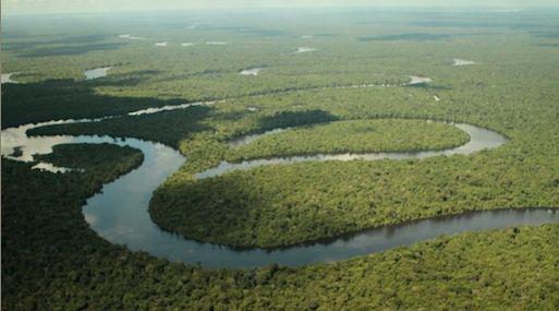 El 61% del territorio nacional pertenece a la Amazonía.