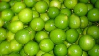 Precio promedio del limón cae en Mercado Mayorista de Lima, ¿otros alimentos también?