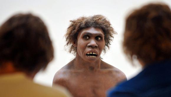 Un gen concreto, que da lugar a una nariz más alta, es un producto de la selección natural adquirido cuando los antiguos humanos se adaptaron a climas más fríos tras abandonar África. (Foto: AFP)