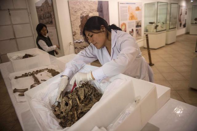 En 1993 se descubrió un centenar de tumbas de perros momificados que acompañaban a humanos en la región Moquegua, 1,220 km al sureste de Lima. Parecidos a los golden retriever, pero de patas cortas, pelo largo, por lo general de color beige y cola erizada