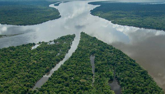 Bosques Amazónicos informó de una posible fusión mediante comunicado a la SMV. (Foto: Zig Koch / WWF)
