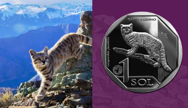 FOTO 9 | Por último, la más reciente entrega tuvo al gato andino como protagonista. (Fuente: BCR)