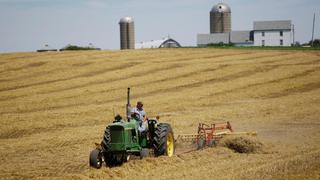 Auge de exportaciones agrícolas impulsa reservas de Argentina