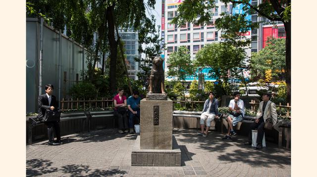 Hachiko (Tokio). Su estatua es un soplo de ternura en la agitada Shibuya. Un recuerdo a un perro de raza Akita que permaneció nueve años esperando a su dueño, el profesor universitario Eisaburo Ueno, en la salida 8 de la concurrida estación sin asumir o e