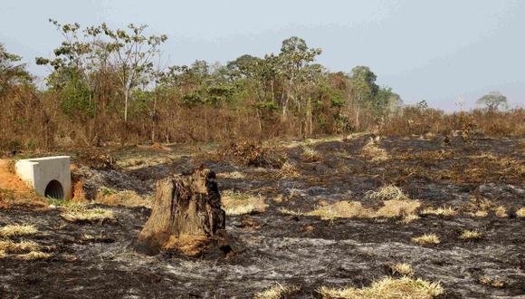 Estas infraestructuras "catalizarán inversiones en sectores responsables de deforestación, incluyendo la agricultura a gran escala, ganadería e industrias extractivas", advierten. (Foto: Reuters)