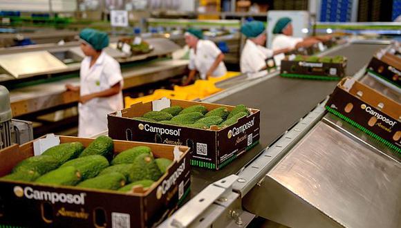 La palta Hass peruana ya puede ser exportada a Corea del Sur, un mercado con más de 51 millones de habitantes. (Foto: GEC)