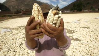 Agroexportadores invertirán US$ 250 millones en frutas y hortalizas